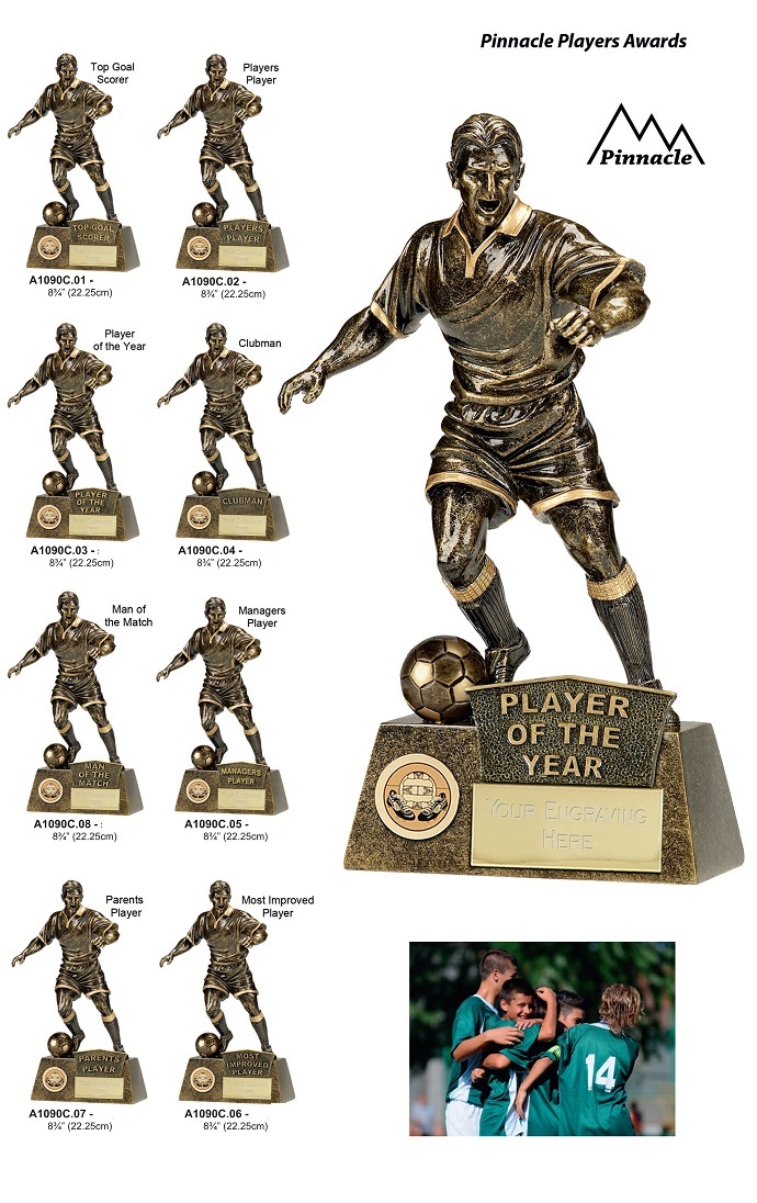 Pinnacle Football Player Awards
