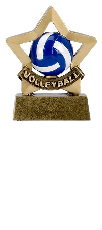Volleyball Mini Stars Trophy AwardA1101