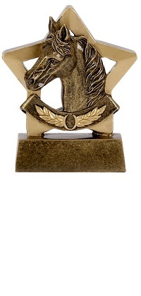 Equestrian Mini Stars Trophy AwardA1109