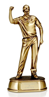 Gold Celebration Golfer Trophy Award