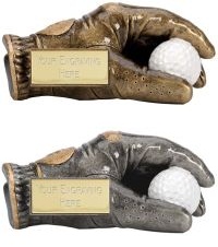 Premier 3D Golf Glove & Ball Trophy Award