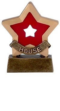 Red House Mini Stars Trophy AwardA9551A