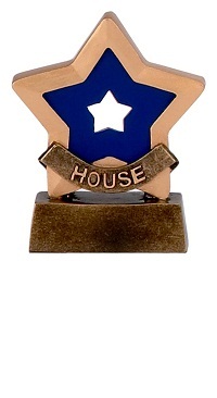 Blue House Mini Stars Trophy AwardA9551B