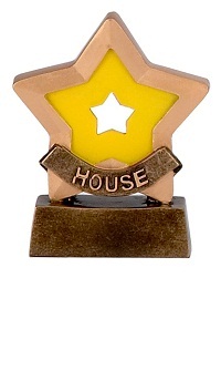 Yellow House Mini Stars Trophy AwardA9551D