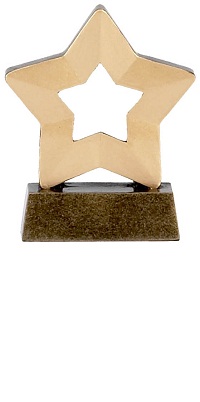 Gold Star Mini Stars Trophy AwardA958