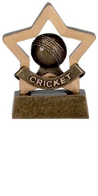 Cricket Mini Stars Trophy AwardA969