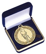 Medal Presentation Cases