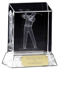Optical Crystal Golfer Glass Award