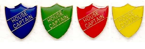 Metal gloss coloured Pin Badge