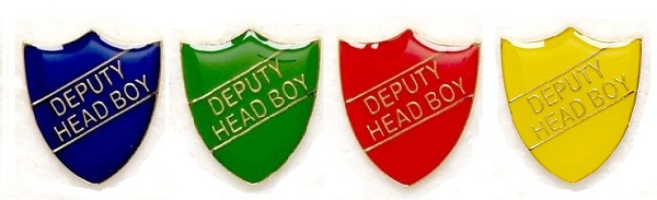 Metal gloss coloured Pin Badge